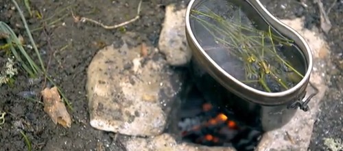 Котелок с собранными побегами на огне